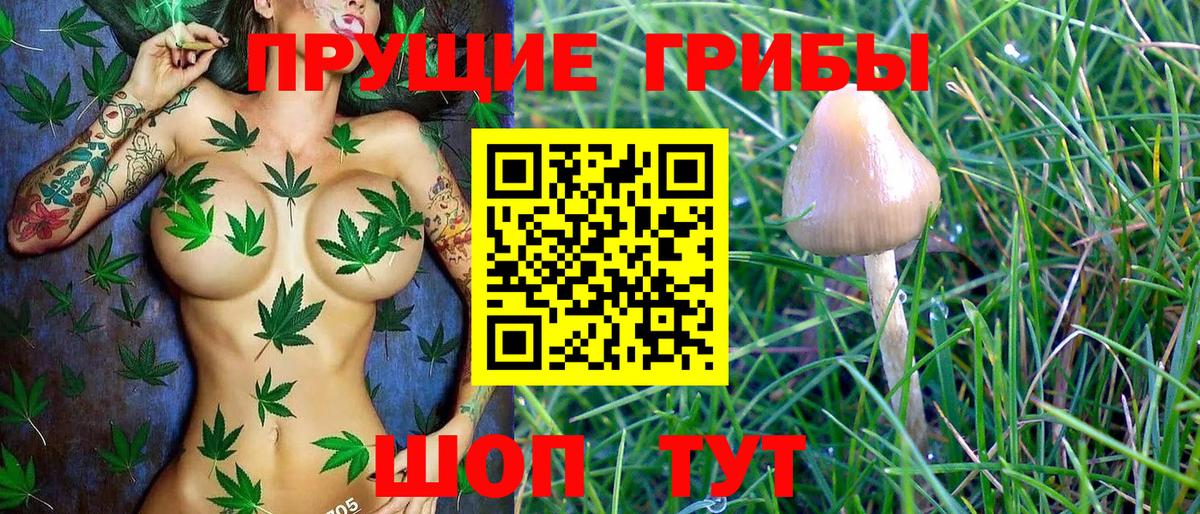купить  сайты  Галлюциногенные грибы Magic Shrooms  Валуйки  Вход с VPN  Галлюциногенные грибы ЛСД 